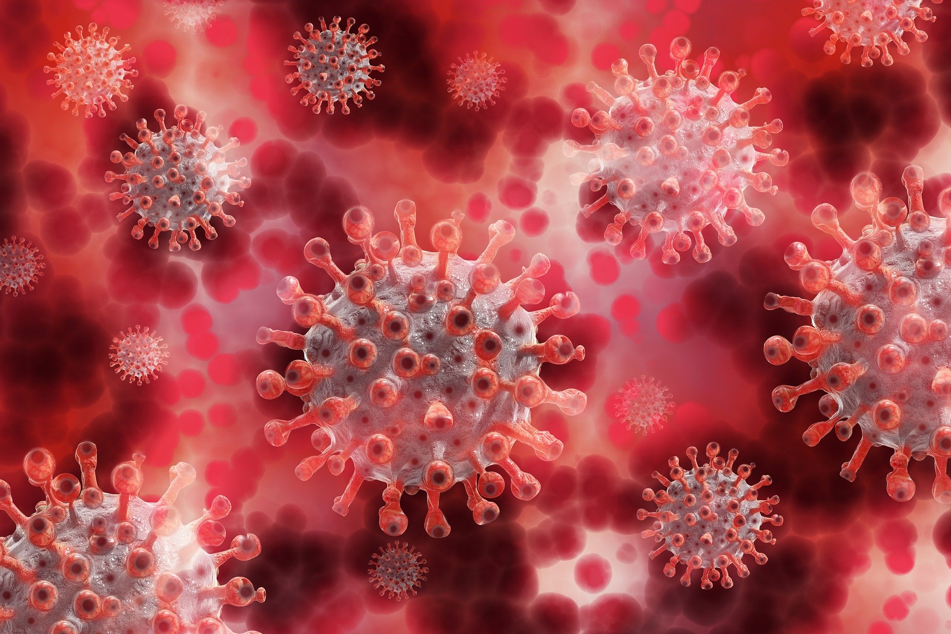 Ilustracja prezentująca kilka wirusów.