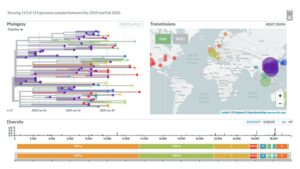 Mapa genomiczna epidemiologii wirusa