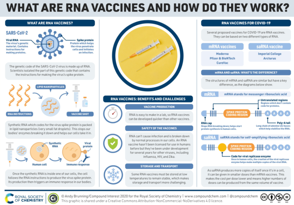 Infografika wyjaśniająca, jak działa szczepionka na bazie RNA przeciw SARS-CoV-2.