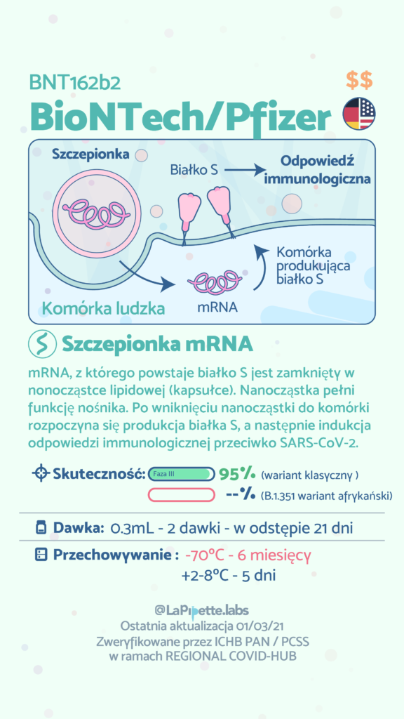 infografika dotycząca szczepionki BioNTech/Pfizer